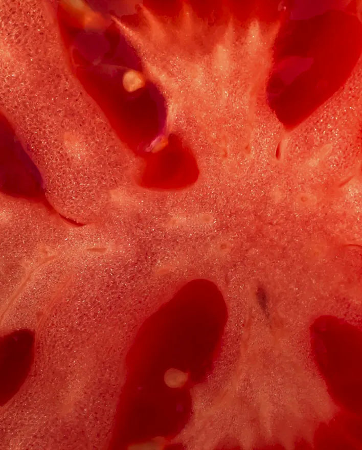Protaflo